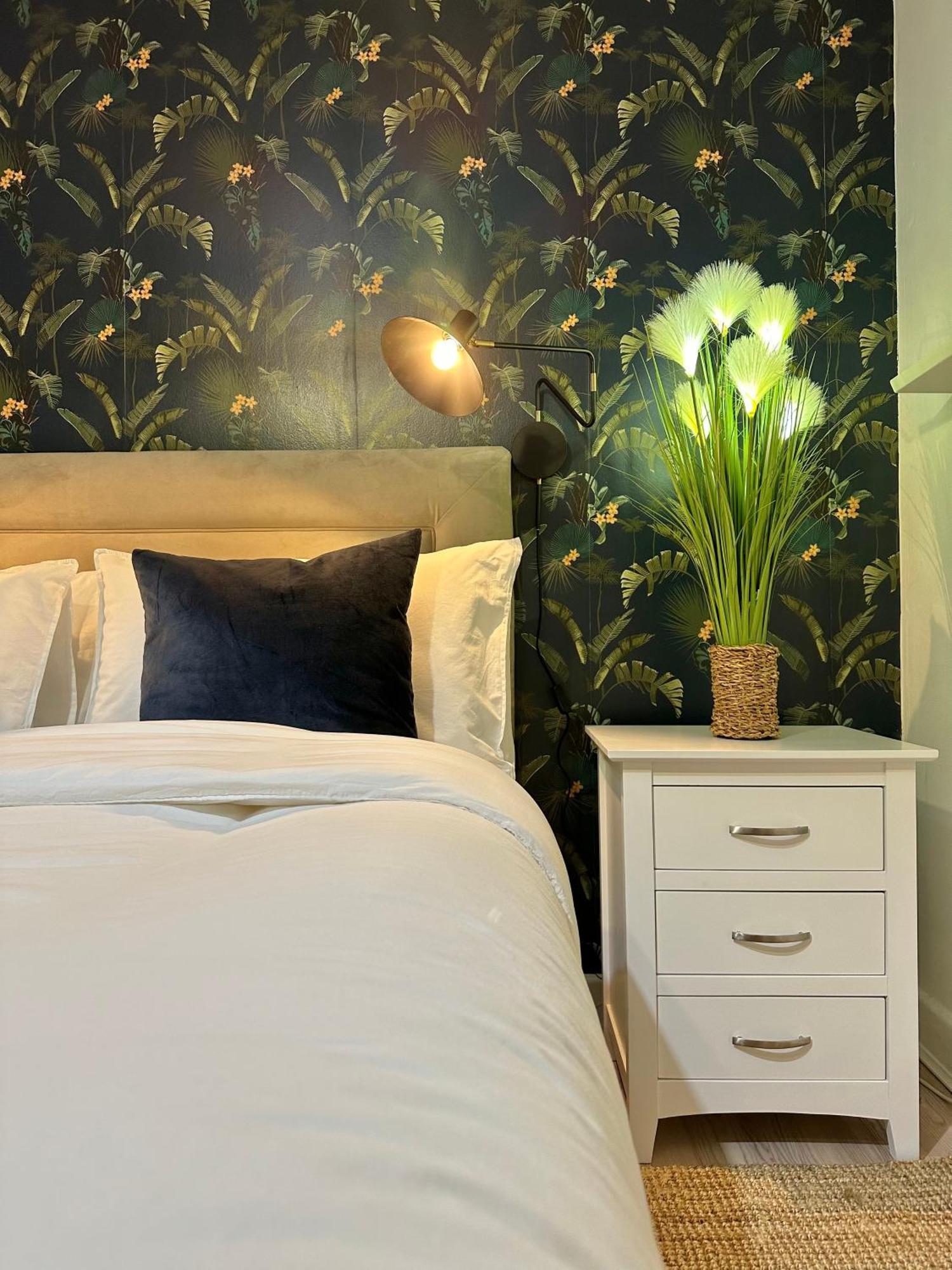Blush Jungle - Homestay Dublin Extérieur photo