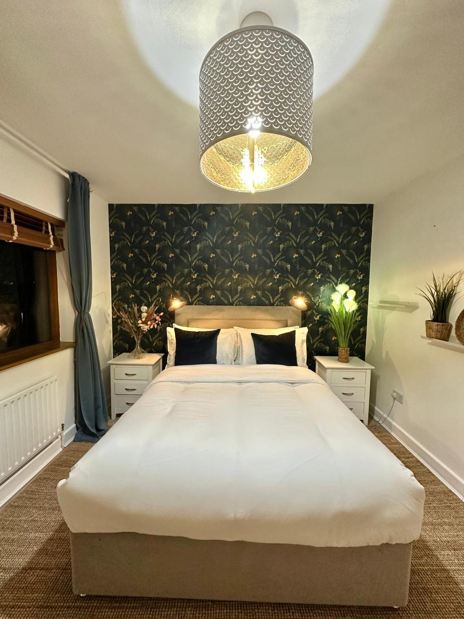 Blush Jungle - Homestay Dublin Extérieur photo