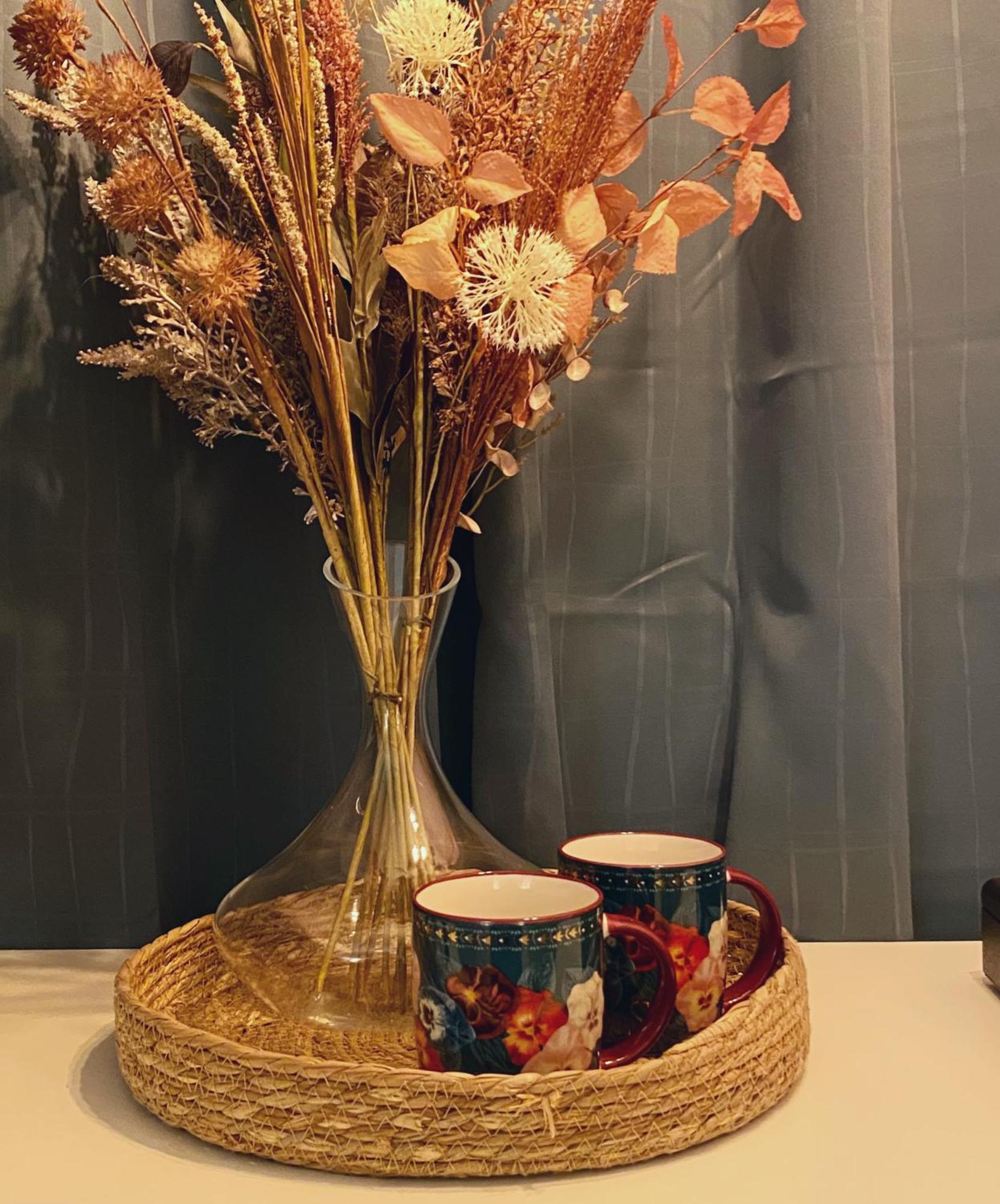 Blush Jungle - Homestay Dublin Extérieur photo